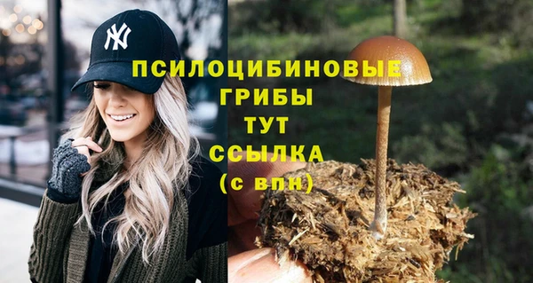 дмт Алзамай