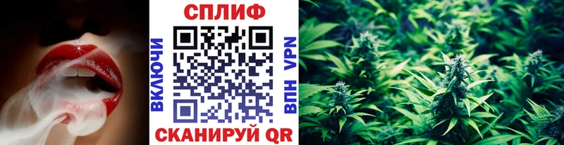 Бошки Шишки семена  Клин 